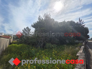 Foto Terreno residenziale in Via Sebastian Bach snc, Statte di 1200 m²