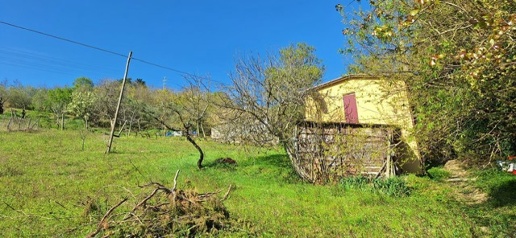 Foto Casa indipendente in Strada casetto amandorli 6, Predappio di 80 m²