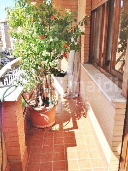 immagine annuncio 2 di 7