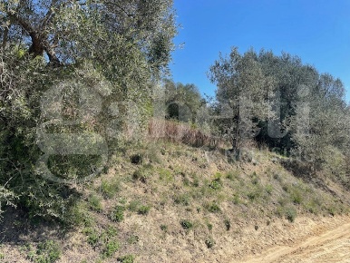 Foto Terreno agricolo in Strada comunale di monte vagone 0, Ponzano Romano