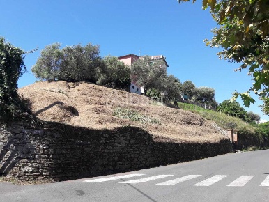 Foto Terreno agricolo a Arcola Centro di 1100 m² in vendita