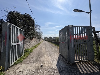 Foto Terreno agricolo in Via SAN FELICE CIRCEO TRAVERSA 23 23, Terracina