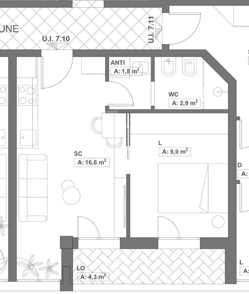 immagine annuncio 9 di 11