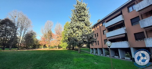 Foto Appartamento in via dei platani, Arese Centro di 75 m² con 2 locali