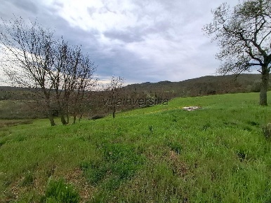 Foto Cessione attività a Manciano con 8 locali in vendita