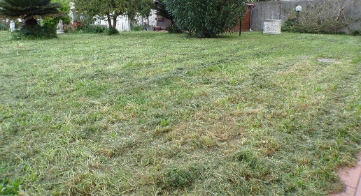 Foto Villa a schiera a Cascina Navacchio Nord - Zambra di 120 m² in vendita