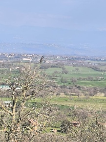 Foto Terreno agricolo a Montefiascone Zepponami di 21150 m² in vendita