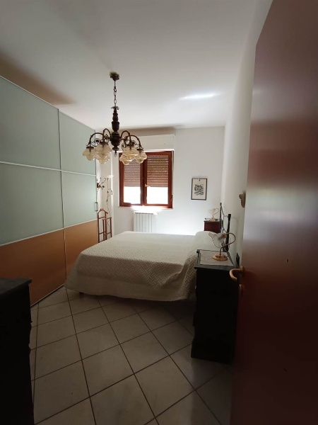 immagine annuncio 9 di 14