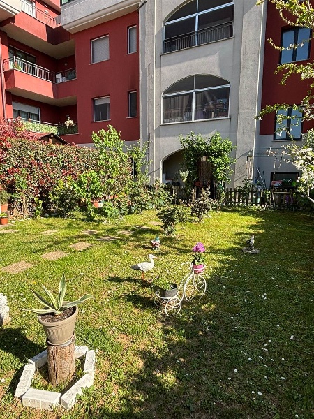 immagine annuncio 1 di 15