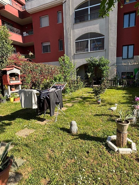 immagine annuncio 10 di 15