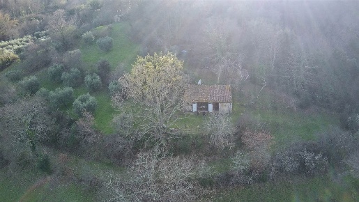 Foto Terreno agricolo a Scansano Centro di 73 m² in vendita