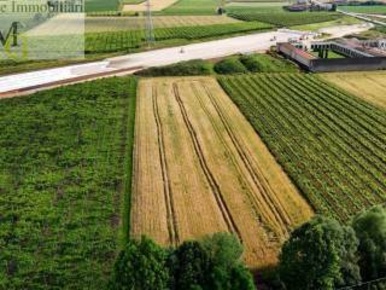 Foto Terreno agricolo a Chioggia Borgo San Giovanni di 3000 m² in vendita