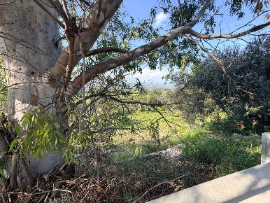 Foto Terreno agricolo in FONDACAZZO, Mineo di 39170 m² in vendita