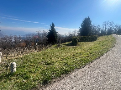 Foto Terreno agricolo in VIA STRADA COMUNALE DEL COLLE, Gandosso Centro