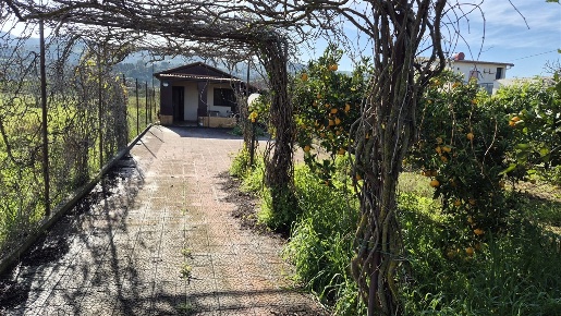 Foto Terreno agricolo in Piana Calzata, Campofelice di Roccella di 1800 m²