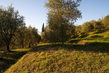 Foto Rustico a Palaia Montecastello, Treggiaia, I Fabbri di 163 m²