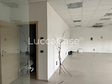 Foto Capannone industriale a Lucca Santissima Annunziata di 340 m²