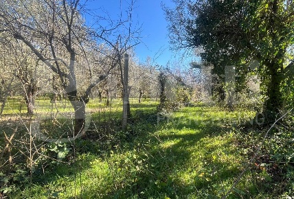 Foto Terreno agricolo in Cupa, Camigliano di 3000 m² in vendita