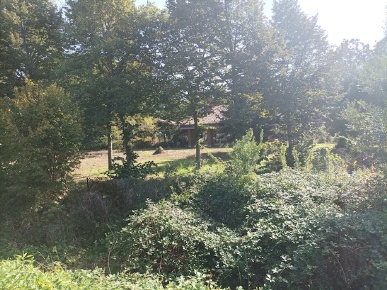 Foto Casa indipendente in via Olimpia, Nichelino di 600 m² con 10 locali