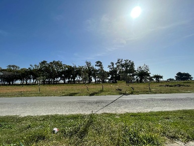 Foto Appartamento in Via dei Narcisi, Sellia Marina Centro di 70 m²