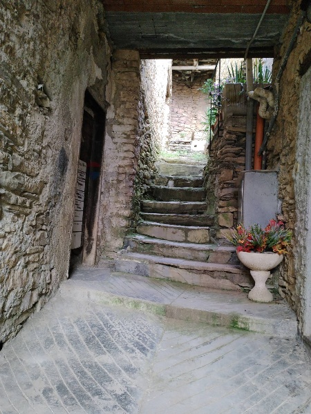 immagine annuncio 4 di 8