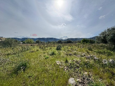 Foto Terreno agricolo in Contrada Bondife' snc, Priolo Gargallo di 7500 m²