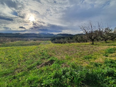 Foto Terreno agricolo in Viale Europa snc, Catanzaro Germaneto di 14400 m²