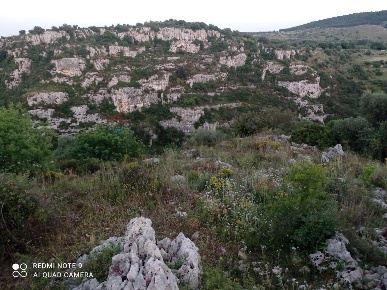 Foto Terreno agricolo in contrada bradia, Sortino in vendita