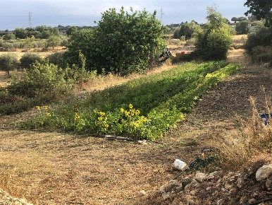 Foto Terreno agricolo in contrada bradia, Sortino in vendita