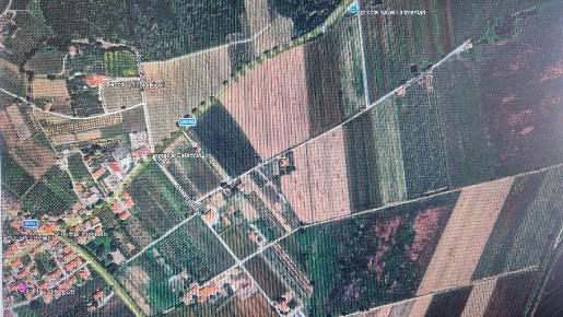 Foto Terreno agricolo in VIA  1, Campiglia Marittima Centro di 18185 m²