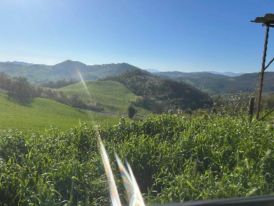 Foto Rustico a Salsomaggiore Terme di 180 m² con 7 locali in vendita