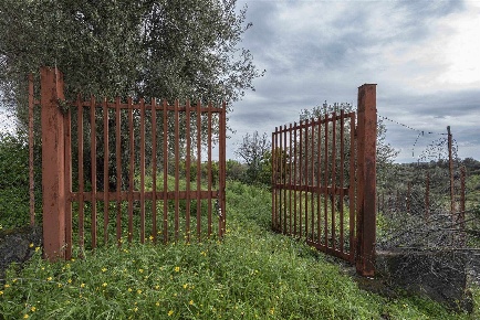Foto Terreno agricolo a Belpasso di 24906 m² in vendita