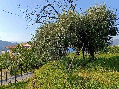 Foto Terreno agricolo a Baronissi di 2680 m² in vendita