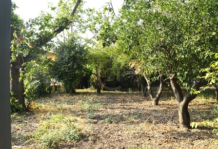 Foto Terreno edificabile a Aci Bonaccorsi Centro di 800 m² in vendita