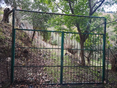 Foto Terreno agricolo in Via Comunale Catarratti 106, Messina di 7000 m²