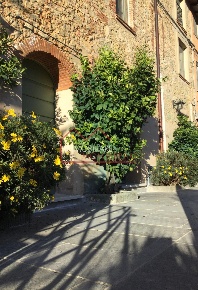 Foto Casale a Camaiore Camaiore Paese di 230 m² con 10 locali in vendita