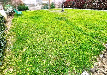 Foto Appartamento a Montelupo Fiorentino Centro di 105 m² con 5 locali