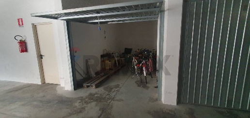 immagine annuncio 12 di 14