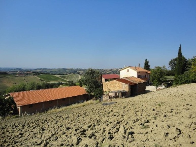 Foto Rustico in Colognola, Cingoli di 300 m² con 8 locali in vendita