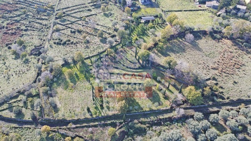 Foto Terreno agricolo in Via Galliano, Randazzo di 4693 m² in vendita