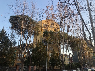 Foto Appartamento in Via Cartagine, Roma Quadraro di 70 m² in vendita