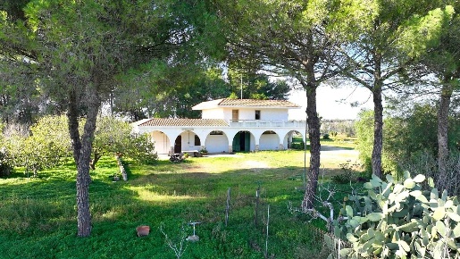 Foto Rustico in strada vicinale due trappeti, Galatina di 350 m² in vendita