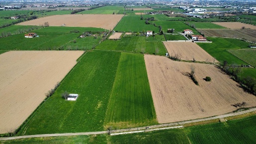 Foto Terreno agricolo in via artiglieri  2, Urgnano di 10000 m² in vendita