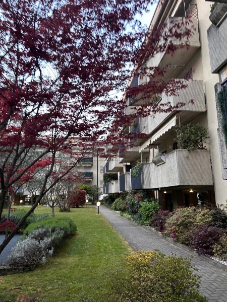 immagine annuncio 12 di 13