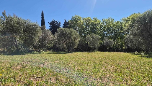 Foto Terreno agricolo a Campiglia Marittima Venturina di 3870 m² in vendita