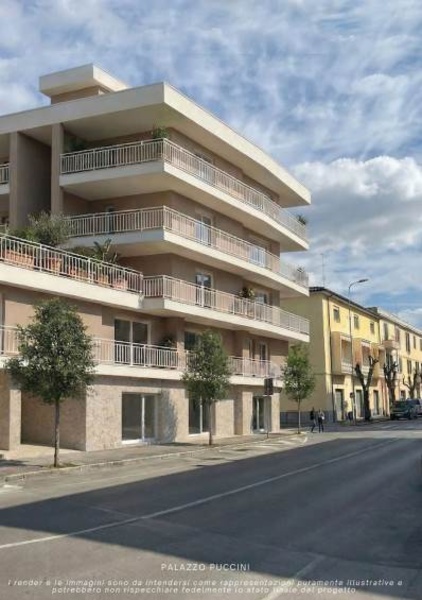 immagine annuncio 3 di 14