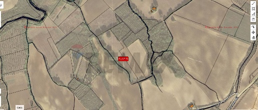 Foto Terreno agricolo in Via Della Pietra Bianca snc, di 15880 m²