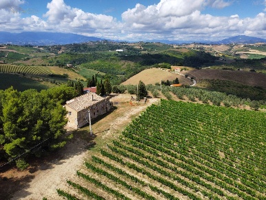 Foto Rustico in Contrada Forola 15, Acquaviva Picena di 360 m² in vendita