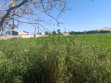 Foto Terreno agricolo in via saragat, Comiso Centro di 15564 m² in vendita