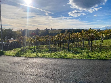 Foto Terreno agricolo in via ciccospeca, Tollo Centro di 800 m² in vendita